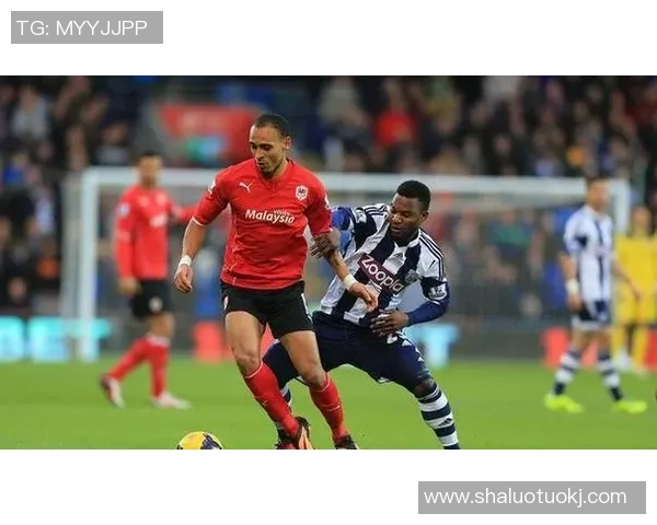 卡迪夫城与谢周三比赛前瞻及比分预测分析详解